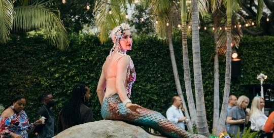 Image of Mermaid at Revive the Show